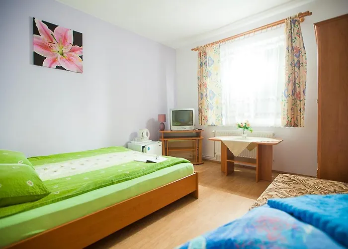 Guest house Bogdanka